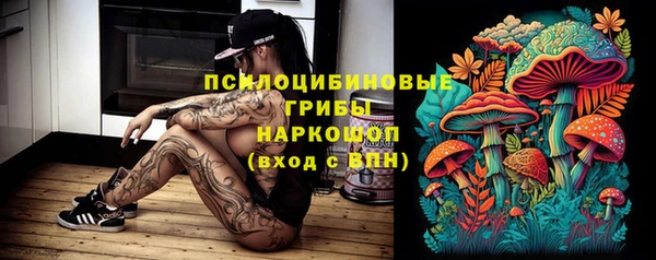 прущий лед Магас