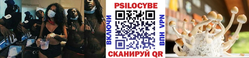 где найти наркотики  Нолинск  Псилоцибиновые грибы ЛСД 